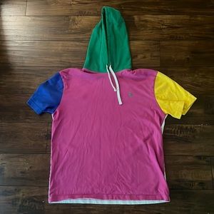 Polo Ralph Lauren Colorblock Hoodie